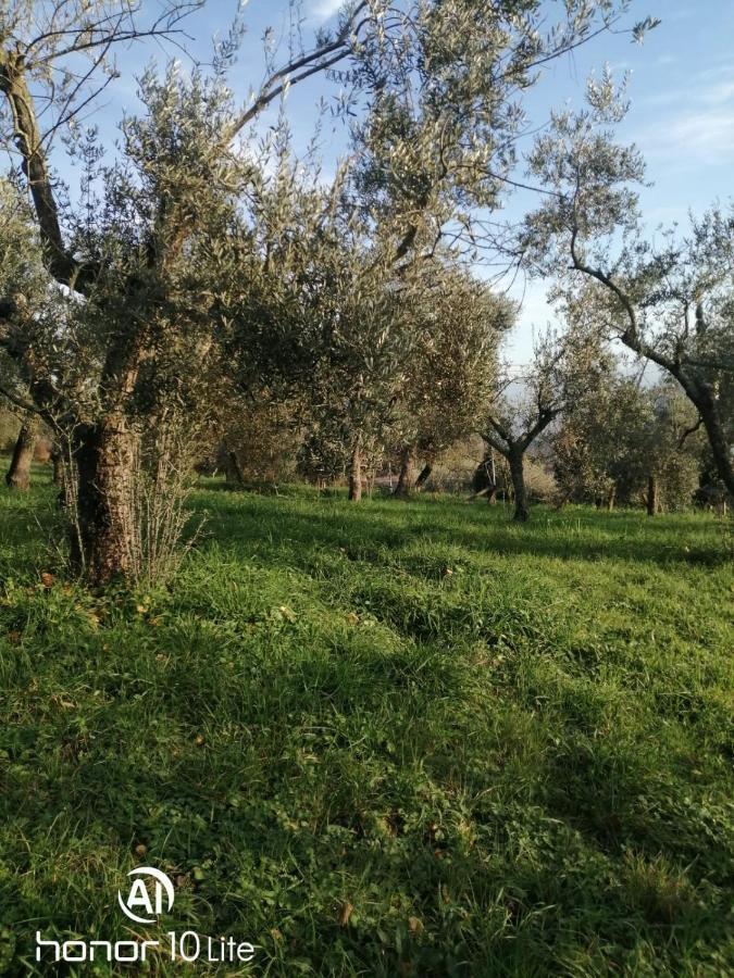Appartamento Serenella Maenza 外观 照片
