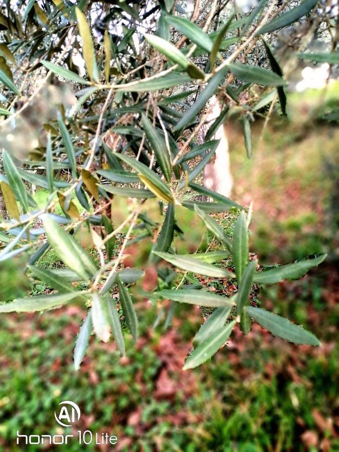 Appartamento Serenella Maenza 外观 照片